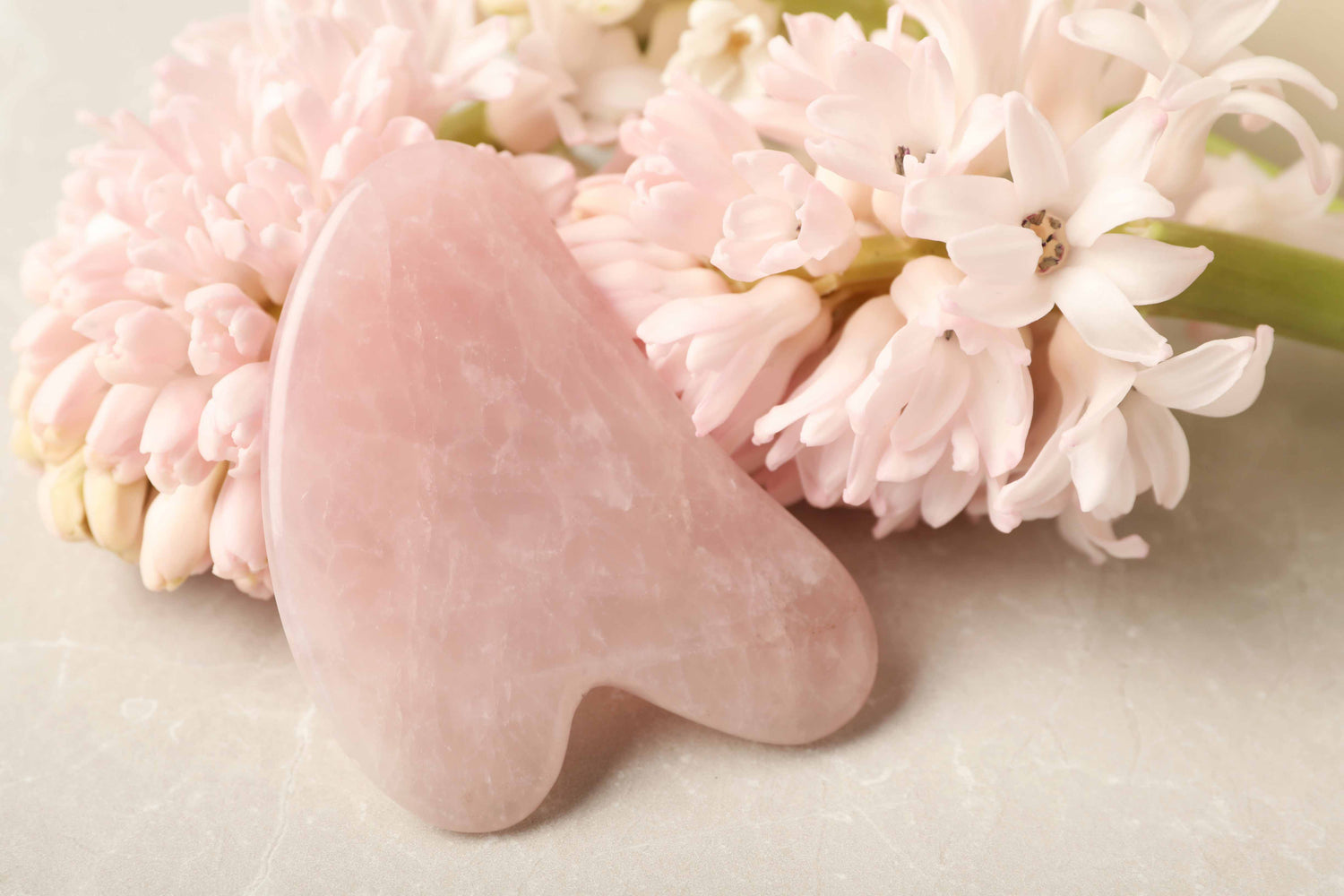 Un Gua Sha pour le visage en quartz rose est posé délicatement sur une fleur de jacinthe rose pastel.
