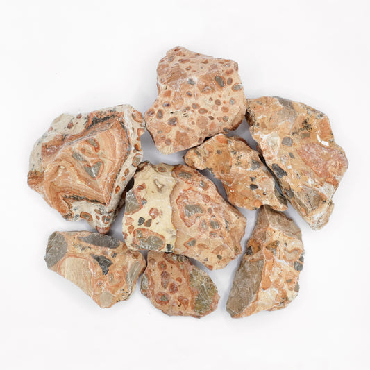 Ces pierres brutes en jaspe léopard de qualité A proviennent du Brésil, et mesurent entre 3 et 8 cm.