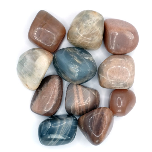 Ces pierres de lune roulées multicolores de qualité A proviennent d'Inde, et mesurent entre 2 et 3 cm. Certaines pierres de lune sont beige, anthracite, rosées ou encore terracotta.