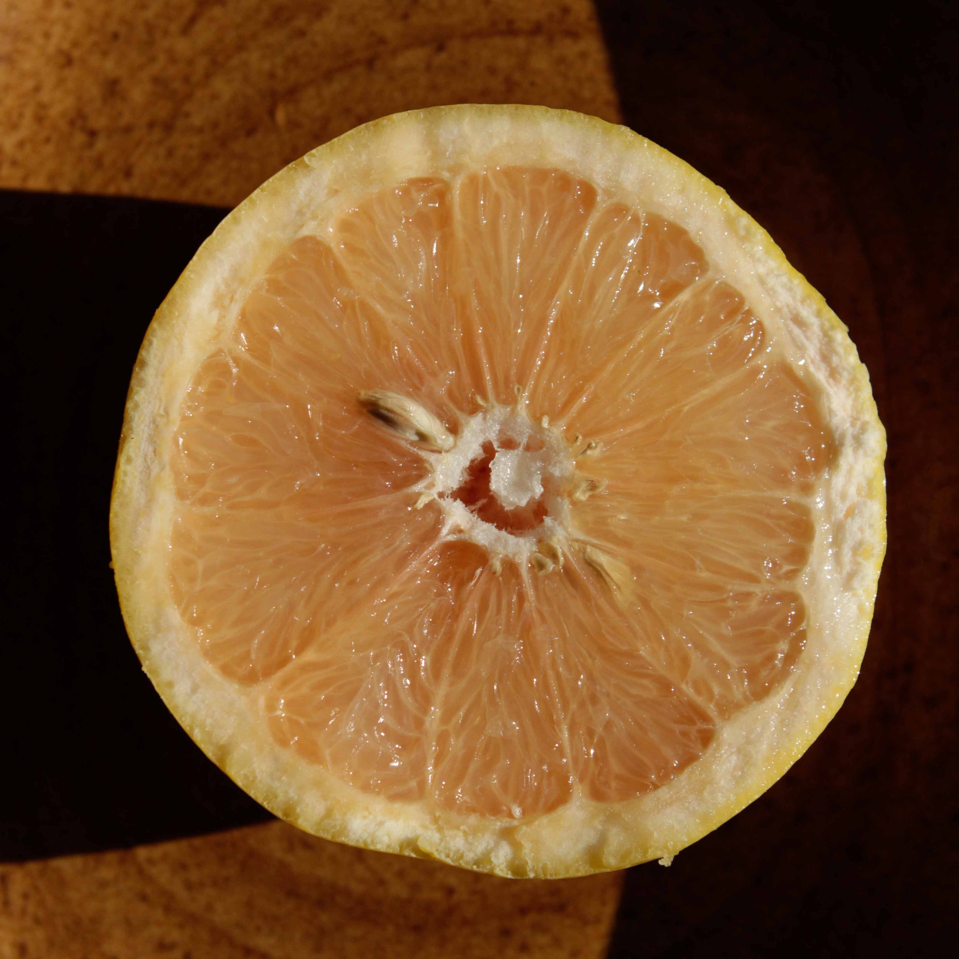 Photo d'une moitié de pamplemousse juteux, baigné de la lumière du soleil et posé sur du bois couleur acajou.